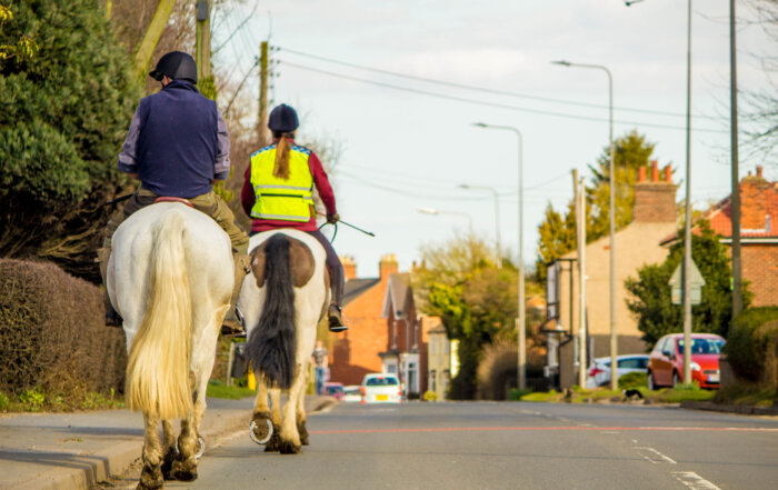Does the updated highway code protect horses and riders?