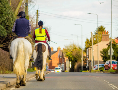 Have the changes to the Highway Code made our roads safer for horses and riders?