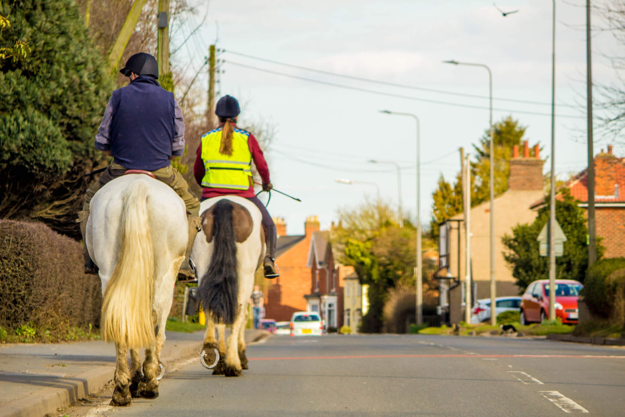 Does the updated highway code protect horses and riders?