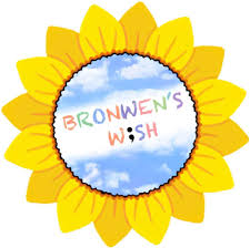 Bronwen’s W;sh Logo